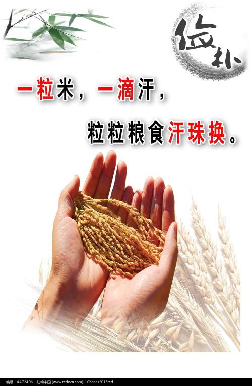 南荷兰音乐学院国际商务文凭证书